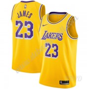 Basketball Trikot Kinder Los Angeles Lakers 2019-20 LeBron James 23# Gold Icon Edition Swingman..
